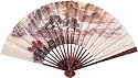 Women's Hand Held Paper Fan