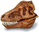 T-Rex Skull Small