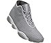 Jordan Horizon Men Lifestyle Casual Sneakers New Wolf Grey