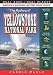 The Mystery at Yellowstone National Park: Volcano, Old Faithful, Bison, Grizzlies and More! (Carole Marsh Mysteries)