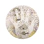 Churchill China What Ever It Takes Pierce Brosnan Coupe Plate