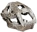 Exotic Environments Saber Tooth Skull Aquarium Ornament, Small, 4-1/2-Inch by 3-Inch by 3-Inch