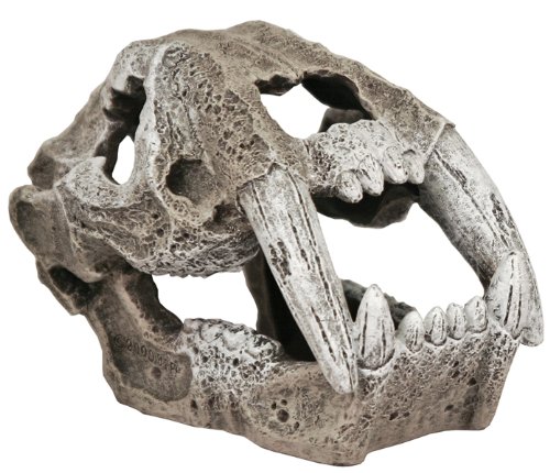 Exotic Environments Saber Tooth Skull Aquarium Ornament, Small, 4-1/2-Inch by 3-Inch by 3-Inch