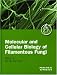 Book Molecular and Cellular Biology of Filamentous Fungi: A Practical Approach (Practical Approach Series)