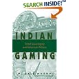 Indian Gaming: Tribal Sovereignty and American Politics by  W. Dale Mason