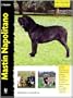 Mastin Napolitano / Neapolitan Mastiff (Excellence) (Spanish Edition)