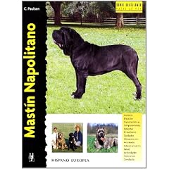Mastin Napolitano / Neapolitan Mastiff (Excellence)