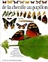 De la chenille au papillon