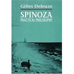 Spinoza: Practical Philosophy