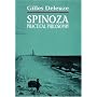 Spinoza: Practical Philosophy
