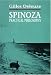 Spinoza: Practical Philosophy