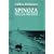 Spinoza: Practical Philosophy