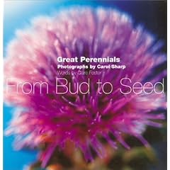 From Bud to Seed: Ten Great Perennials