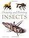 Drawing and Painting Insects
