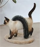 Feline Fantasy Brush