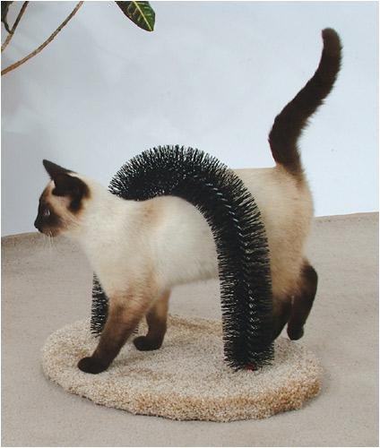 Feline Fantasy Brush