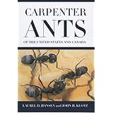 Carpenter Ants Of The United States And Canada