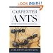 Carpenter Ants of the United States and Canada