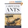 Carpenter Ants Of The United States And Canada