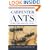 Carpenter Ants Of The United States And Canada
