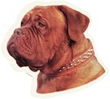 World Stickers Schwandt Heimtierbedarf 12210 Aufkleber 4 St&uuml;ck ca. 80 x 80 mm f&uuml;r Warnschild Bordeaux Dogge
