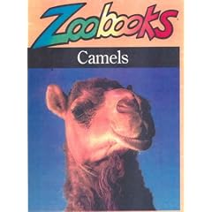 Camels