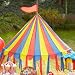 Big Top Canopy Tent Party Supplies