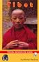 Tibet Travel Adventure Guide (Travel Adventure Guides)