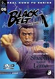 Shaolin Against Lama