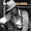 The Essential Taj Mahal