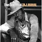 The Essential Taj Mahal by Taj Mahal