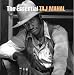The Essential Taj Mahal