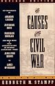 The Causes of the Civil War (Touchstone)