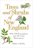 Trees and Shrubs of New England (0892724919) by Dwelley, Marilyn