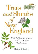 Trees and Shrubs of New England