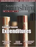 Michigan Township News