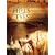 The Hills Have Eyes (2006) [DVD]
