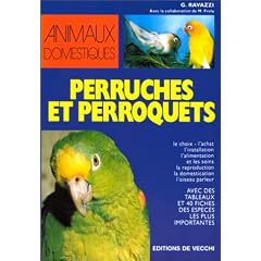 Perruches et perroquets
