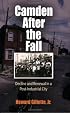 Camden After the Fall: Decline and Renewal in a Post-Industrial City (Politics and Culture in Modern America)