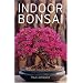 Indoor Bonsai