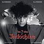 Les 7 vies d'Indochine