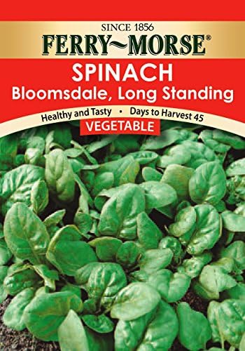 Ferry Morse Bloomsdale Spinach Seeds