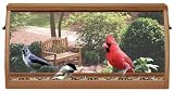 Deluxe In-House Window Feeder