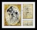 Lou Gehrig New York Yankees MLB Framed Photograph Luckiest Man Speech Milestone Collage