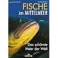 Fische im Mittelmeer