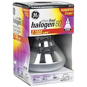 GE Edison-Base 60 Watt BR30 Halogen Flood Light Bulb