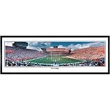 Everlasting Images Florida Gators 'The Swamp' Black Framed Photo