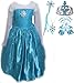 SweetNicole Snow Queen Elsa Princess Party Dress Costume with Accessories