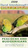 Review 2 Entertain Video  / David Attenborough's World Of Wildlife 10 - Peacocks And Budgerigars