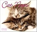 Cat Naps 2010 Desk Calendar